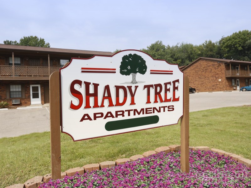 Shady Tree Pic